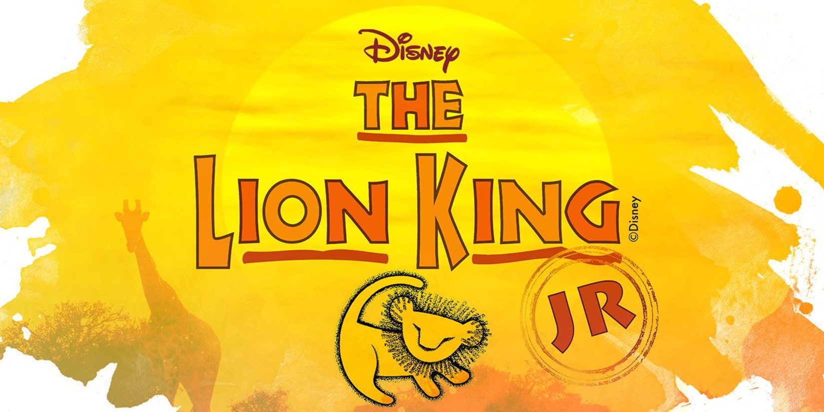 THE LION KING JR